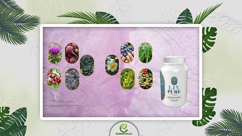 Liv Pure Ingredients