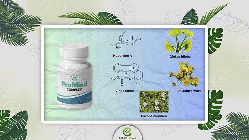 ProMind Complex Ingredients