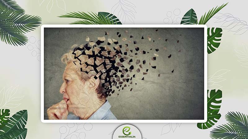 Protection Against Age-Related Cognitive Decline